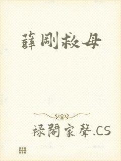 薛刚救母