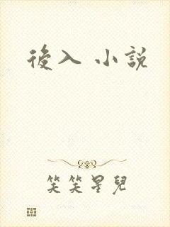 后入 小说封面