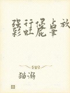 强行侵占放了个彩虹屁笔封面