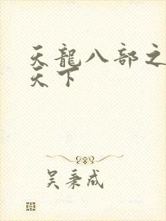 天龙八部之猎美天下封面
