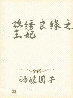 锦绣良缘之北地王妃