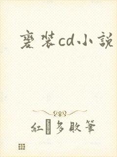 变装cd小说