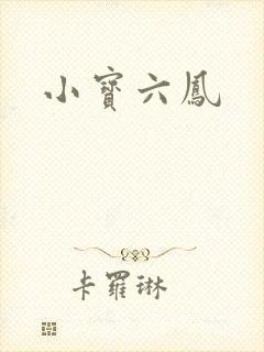 小宝六凤