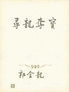 寻龙夺宝