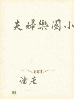 夫妇乐园小说