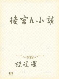 后宫h小说封面