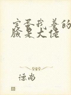 完蛋我养的小白脸是大佬封面