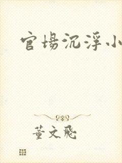 官场沉浮小说