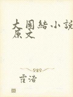 大团结小说阅读原文