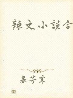辣文小说合集
