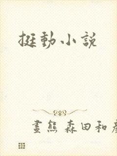挺动小说