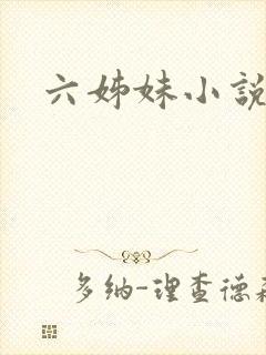 六姊妹小说