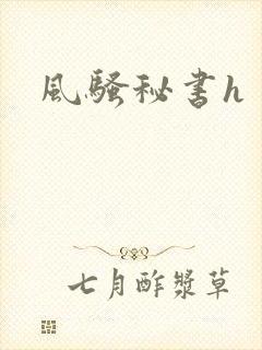 风骚秘书h封面