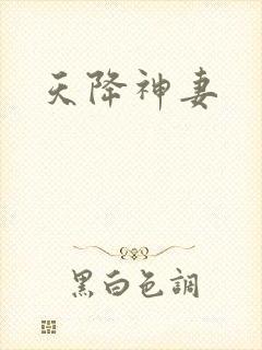 天降神妻