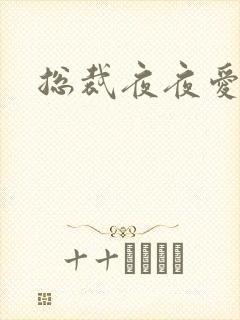 总裁夜夜爱