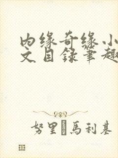 内缘奇缘小说全文目录笔趣阁封面