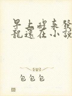 早上醒来发现巨龙还在小说