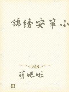 锦绣安宁小说