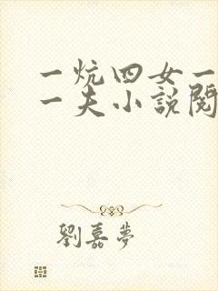一炕四女一共侍一夫小说阅读封面