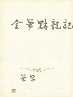 金笔点龙记封面