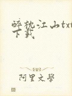 醉枕江山txt下载封面