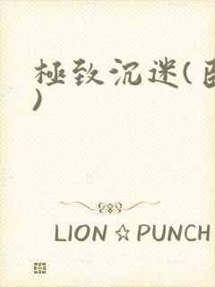 极致沉迷(臣年)封面