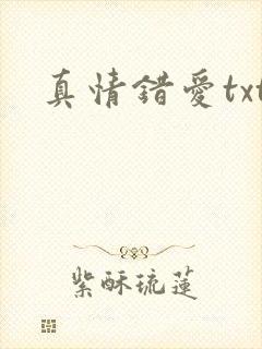 真情错爱txt