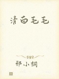 清白毛毛