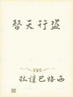 替天行盗