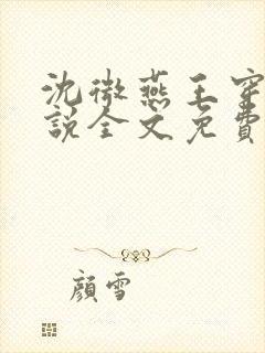 沈微燕王穿越小说全文免费阅读