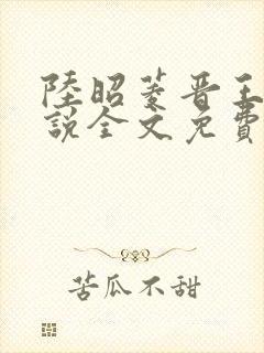 陆昭菱晋王的小说全文免费阅读