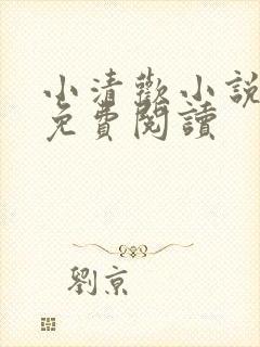小清欢小说全文免费阅读封面