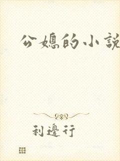 公媳的小说