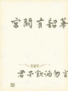 宫阙有韶华