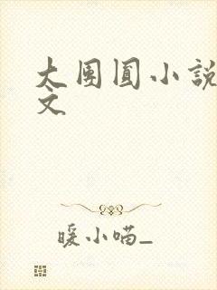 大团圆小说集全文