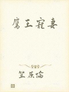 鹰王宠妻封面