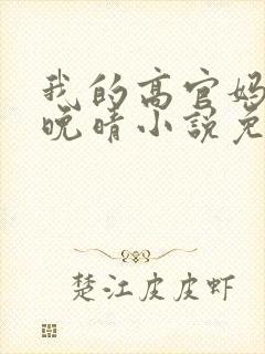 我的高官妈妈苏晚晴小说免费阅读