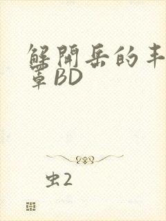 解开岳的丰满奶罩BD