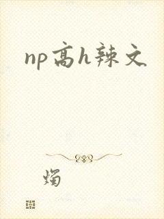 np高h辣文
