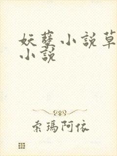 妖孽小说草莓酱小说