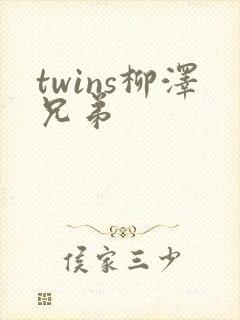 twins柳泽兄弟