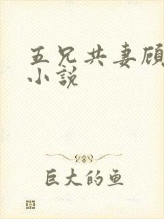 五兄共妻顾心儿小说