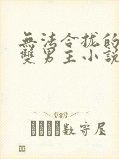 无法合拢的总裁双男主小说