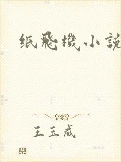 纸飞机小说封面