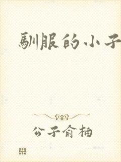 驯服的小子4