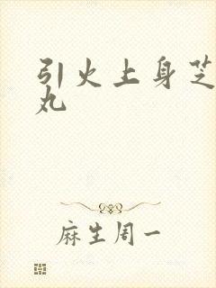引火上身芝麻糖丸
