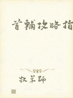 首辅攻略指南封面