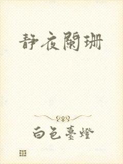 静夜阑珊封面