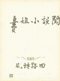 妻姐小说阅读免费封面