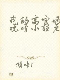 我的高官妈妈苏晚晴小说免费阅读封面